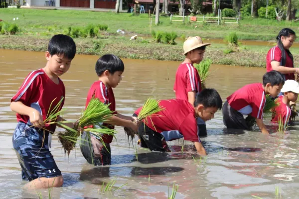 ระดับชั้นประถมศึกษา 1-6